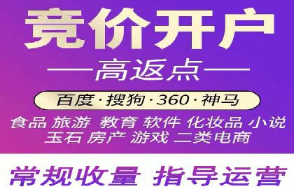 Sem优化公司案例：优化方案定制服务